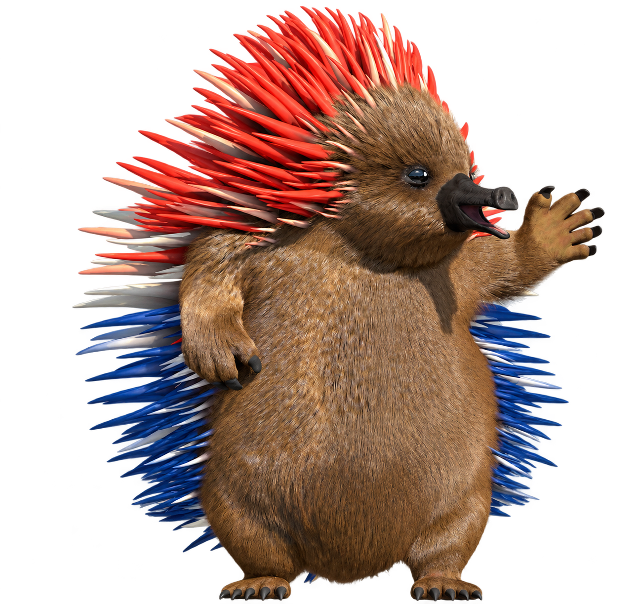 The Flame Tree echidna welcoming you with an outstretched hand